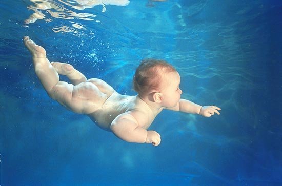 http://armcandyconfessions.files.wordpress.com/2010/07/swimming-babies-10.jpg